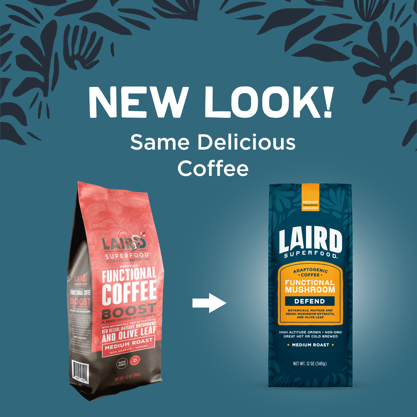 DEFEND Functional Mushroom Coffee β Medium Roast