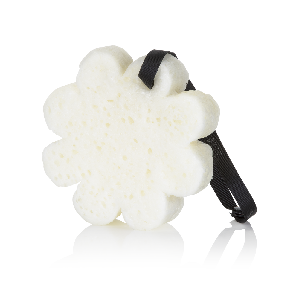 Spongelle- Coconut Verbena | Boxed Flower