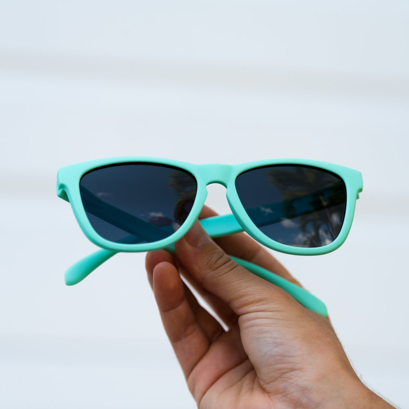 Barbella - Teal Sunnies